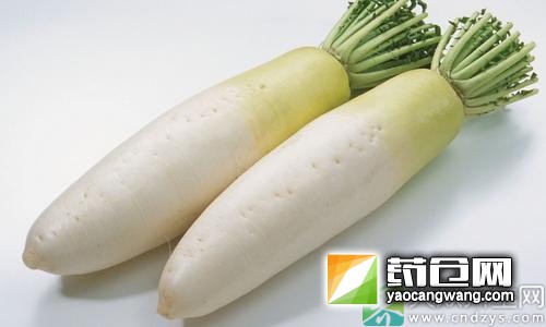养生妙品,西洋参的功效与禁忌!(1)
